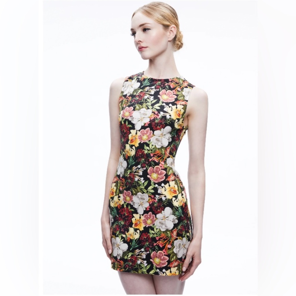 Alice and Olivia Wynell Mini Dress NWT